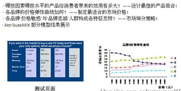 數(shù)字100市場研究公司的新產(chǎn)品測試服務內(nèi)容